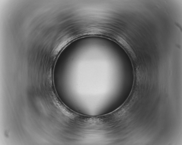 X0000100980842200807011441