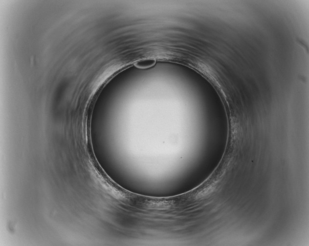 X0000100980843200807011441