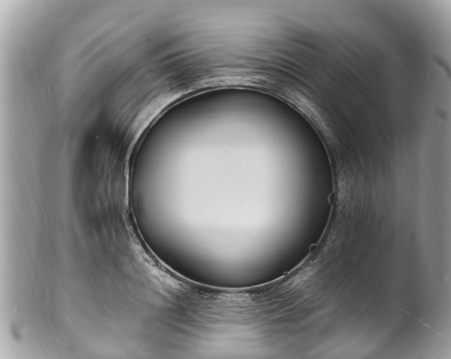 X0000100980844200807011442