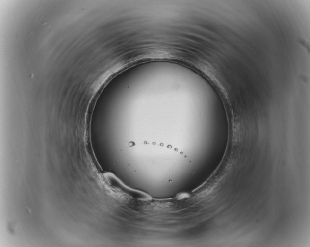 X0000100980845200807011442