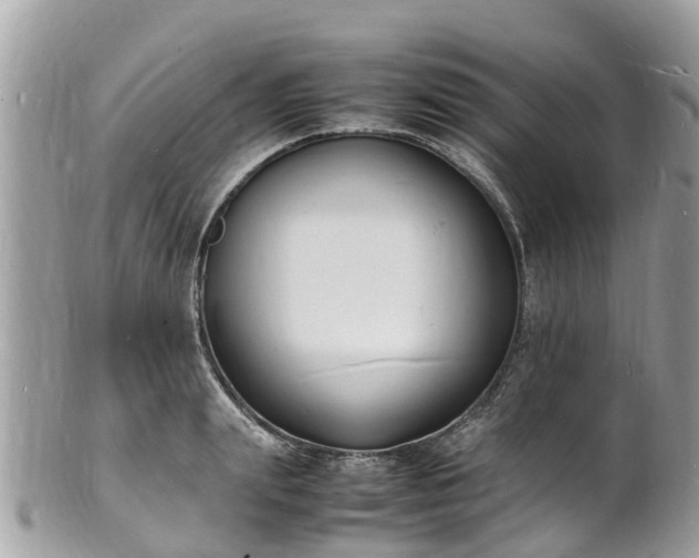 X0000100980847200807011442