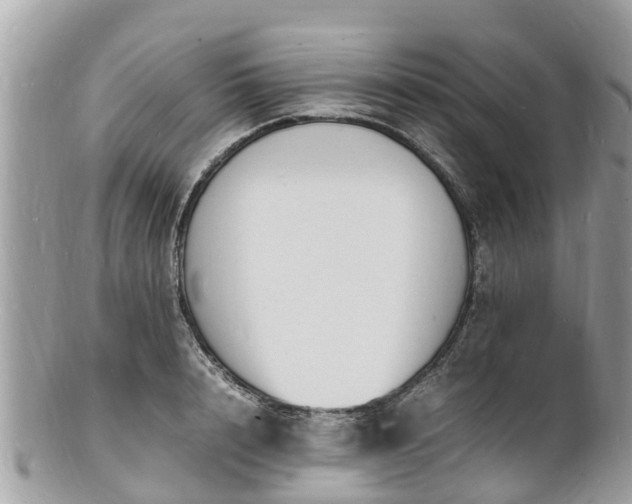 X0000100980848200807011442