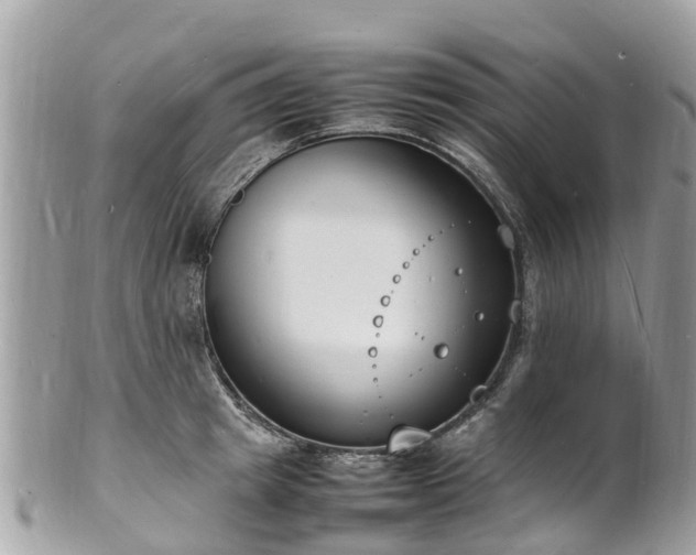 X0000100980849200807011442