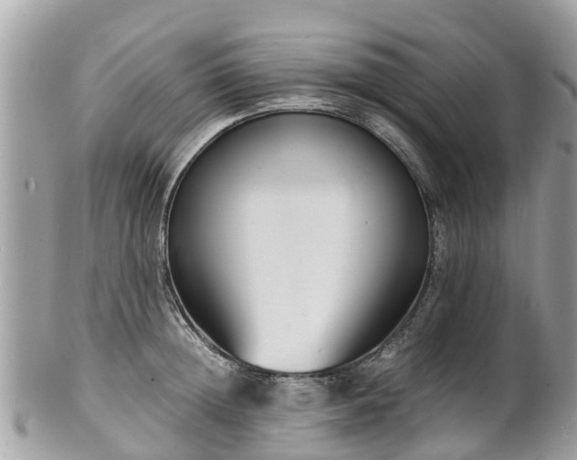 X0000100980852200807011442