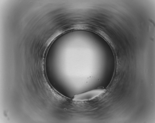 X0000100980853200807011442