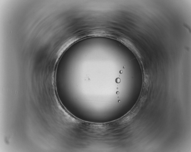 X0000100980855200807011442