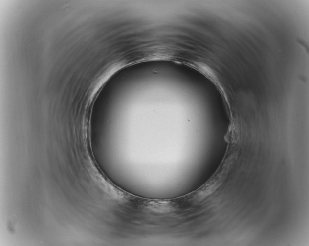 X0000100980859200807011442