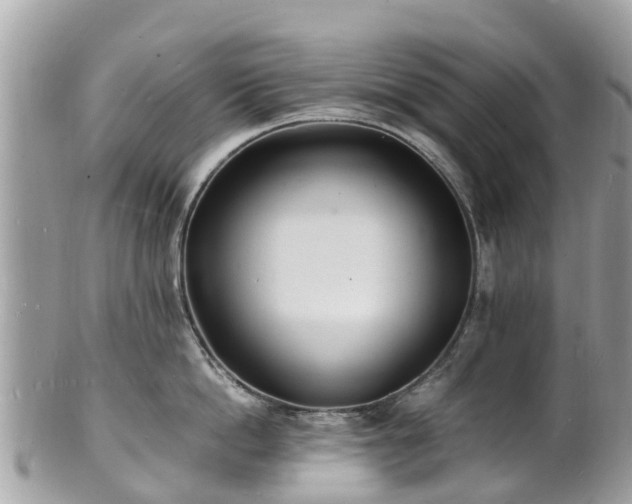 X0000100980862200807011442