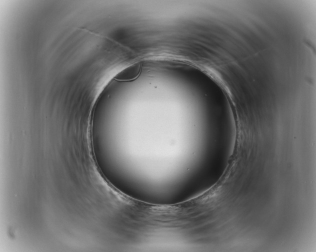 X0000100980863200807011442