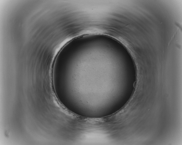 X0000100980864200807011442