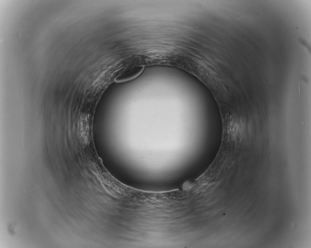 X0000100980868200807011441