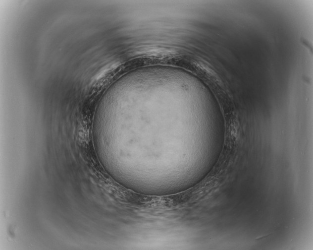 X0000100980869200807011441