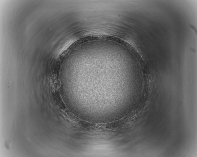 X0000100980871200807011441