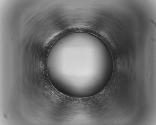 X0000100980872200807011441