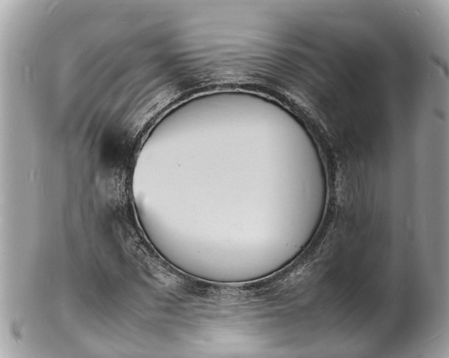 X0000100980873200807011441