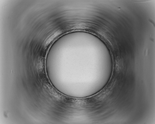 X0000100980874200807011441