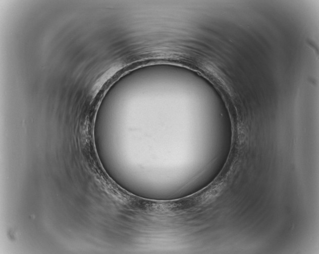 X0000100980875200807011441