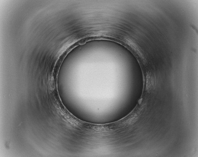 X0000100980876200807011441