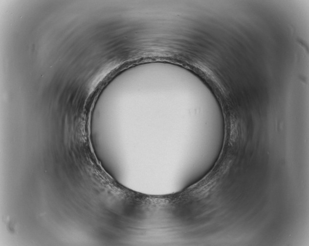 X0000100980878200807011441