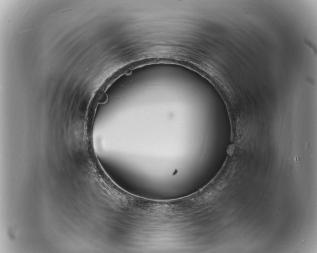 X0000100980880200807011441