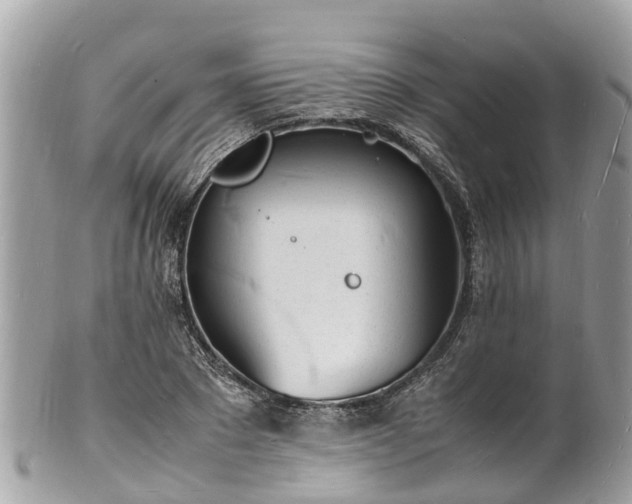 X0000100980881200807011441