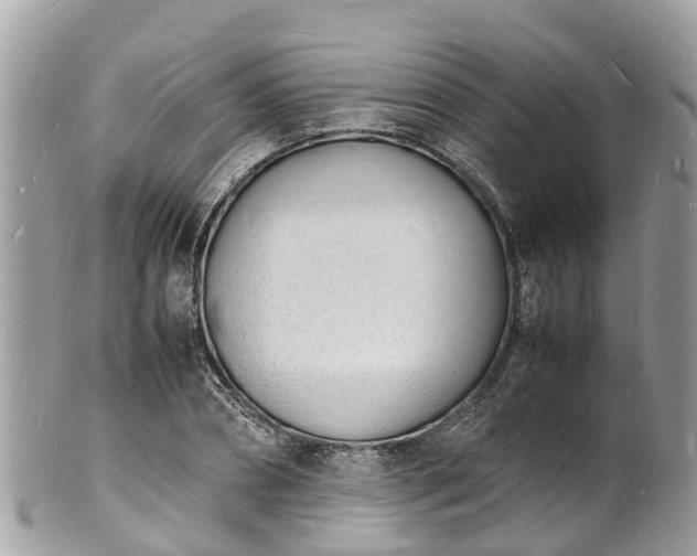 X0000100980882200807011441