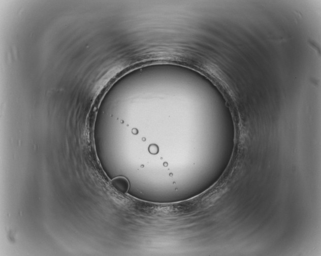 X0000100980883200807011441