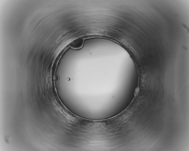 X0000100980884200807011441