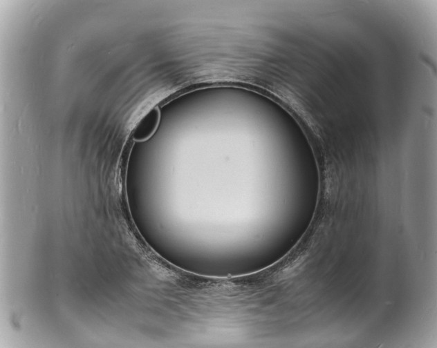 X0000100980885200807011441