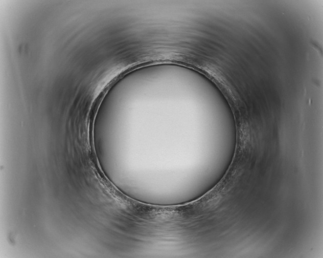 X0000100980886200807011441