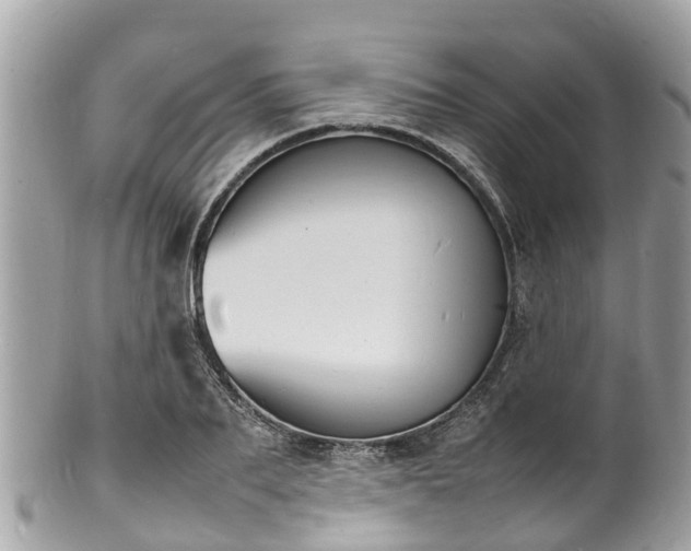 X0000100980887200807011441