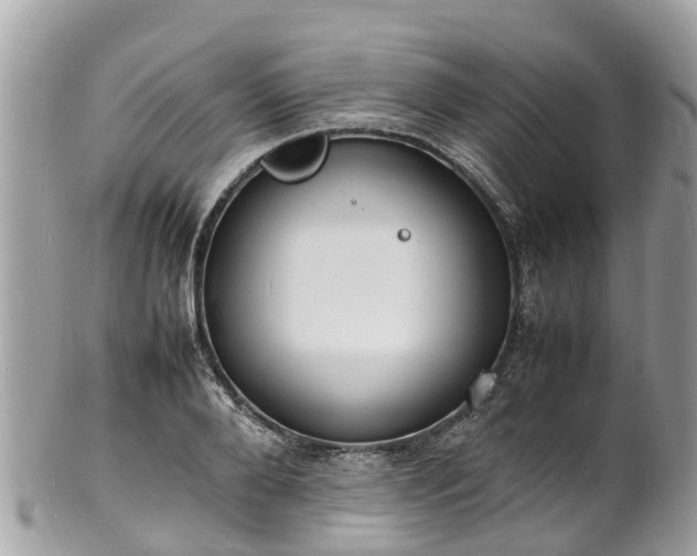 X0000100980888200807011441