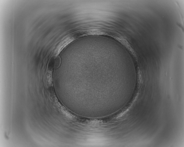 X0000100980889200807011441