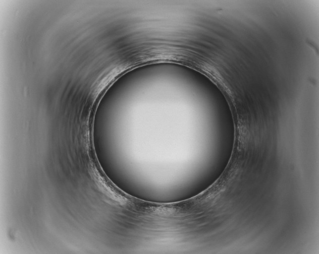 X0000100980890200807011441