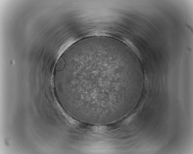 X0000100980893200807011441