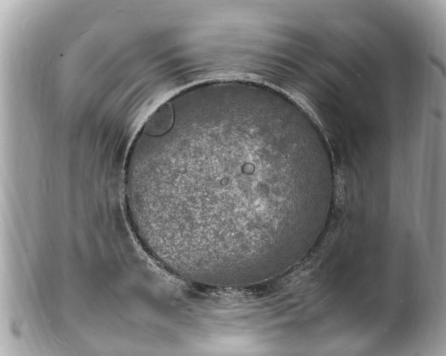 X0000100980895200807011441