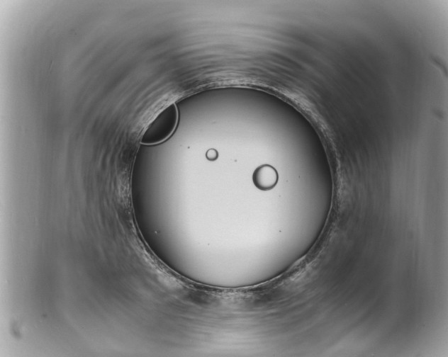 X0000100980897200807011441