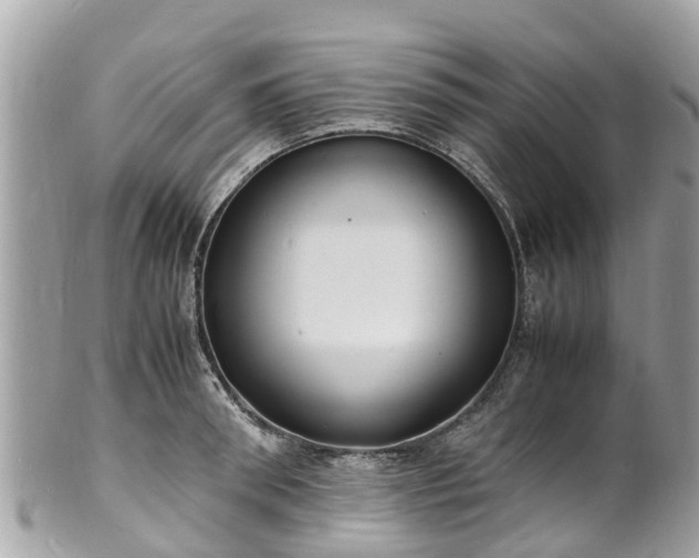 X0000100980898200807011441