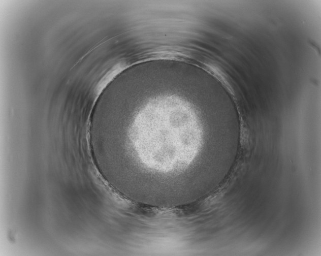 X0000100980899200807011441