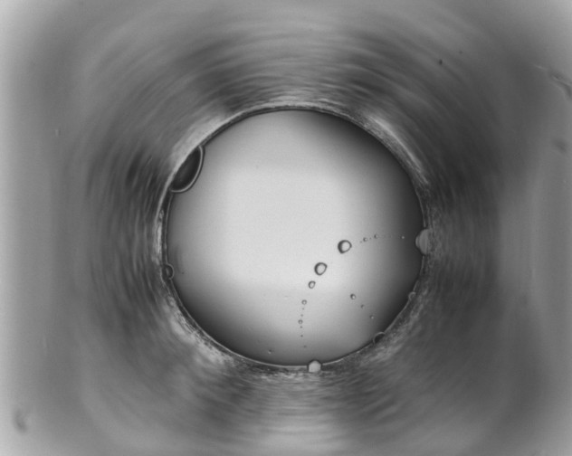 X0000100980900200807011441