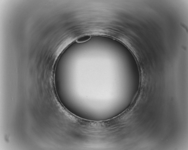 X0000100980901200807011441