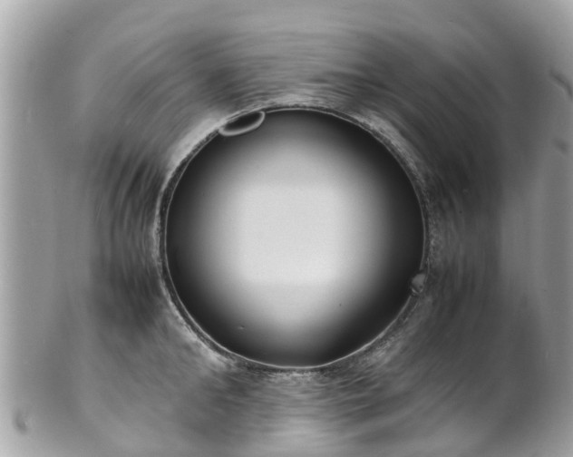 X0000100980902200807011441