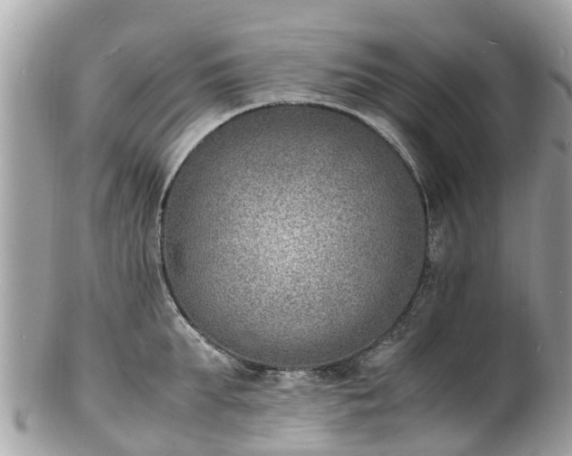 X0000100980903200807011441