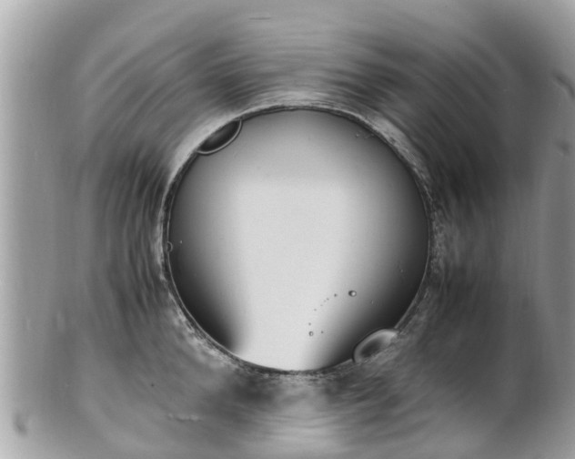 X0000100980904200807011441