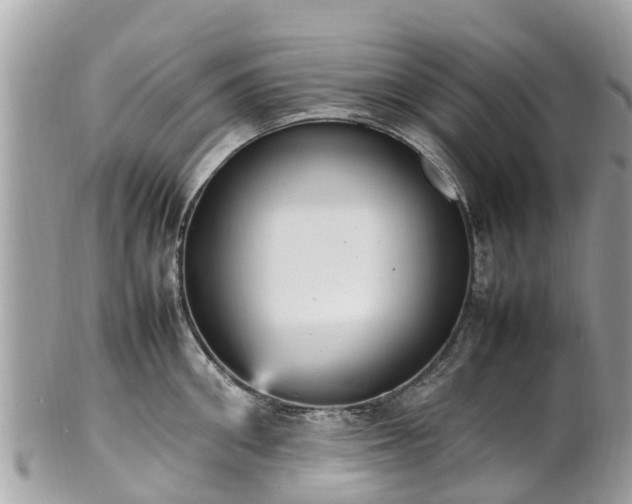 X0000100980906200807011441