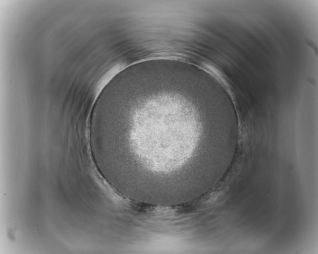 X0000100980907200807011441