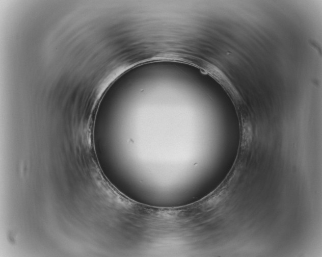 X0000100980908200807011441