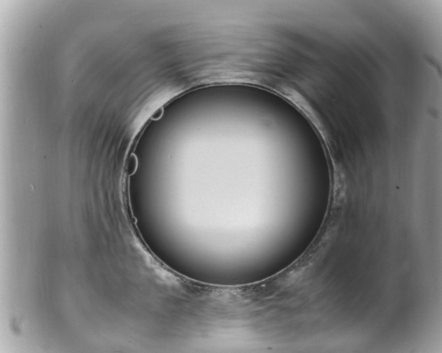 X0000100980909200807011440