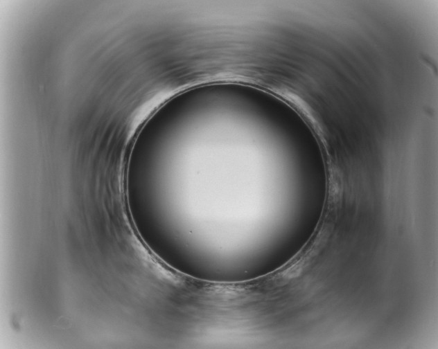 X0000100980910200807011440