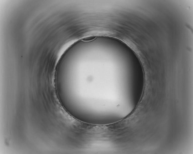 X0000100980912200807011440